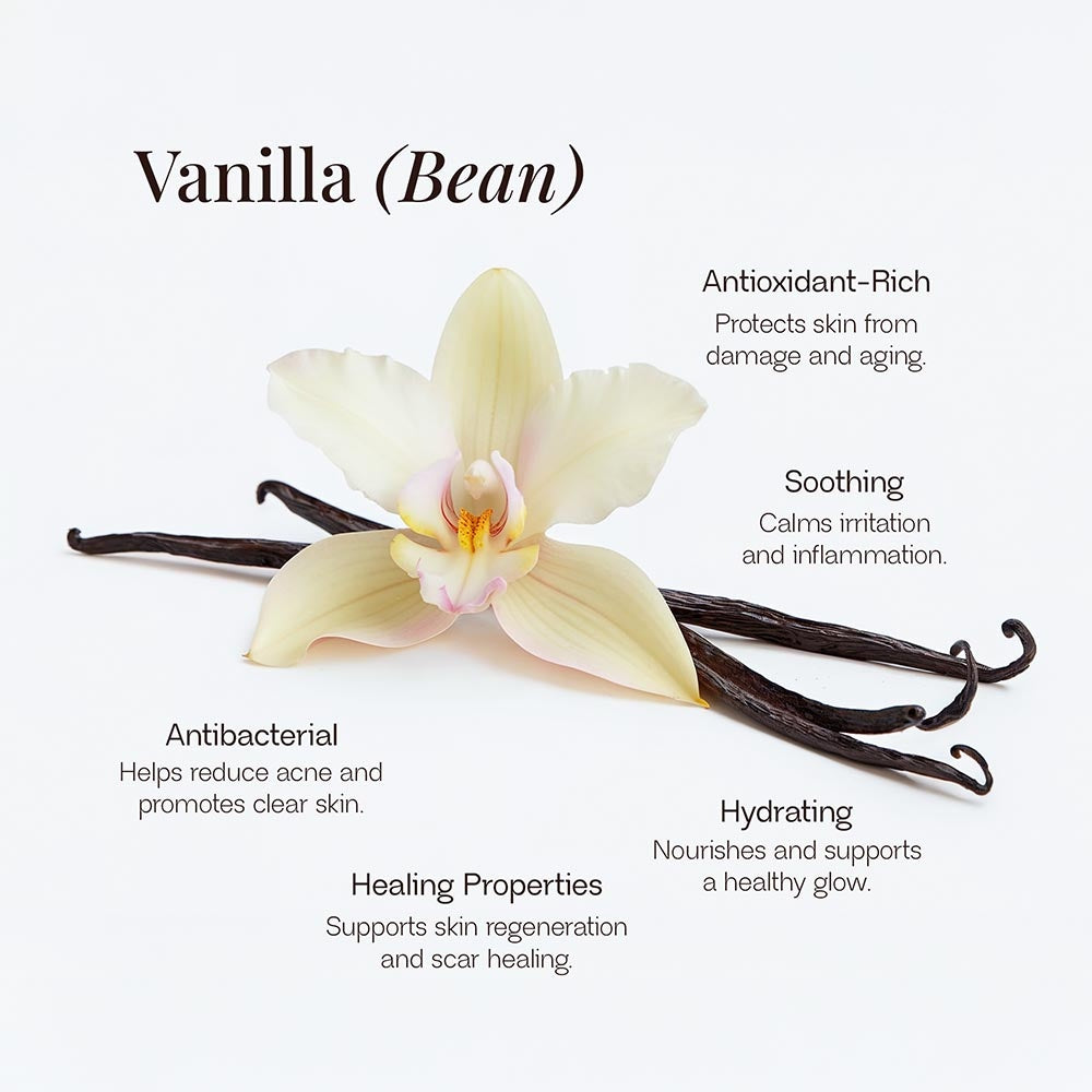 FernShield Cream - Whipped Grass-Fed Tallow Balm with Vanilla Bean - Fernbuy