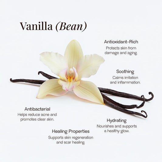 FernShield Cream - Whipped Grass-Fed Tallow Balm with Vanilla Bean - Fernbuy