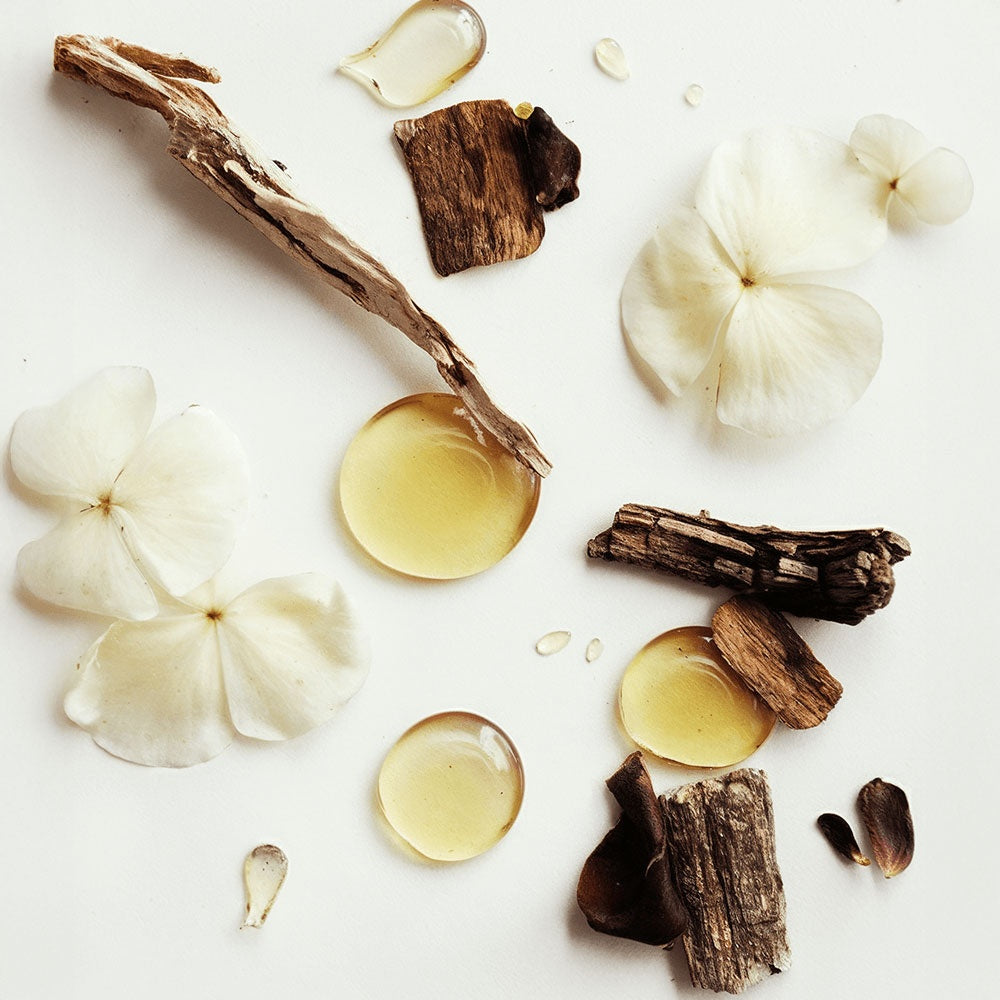 FernShield Cream - Whipped Grass-Fed Tallow Balm with Vanilla Bean - Fernbuy
