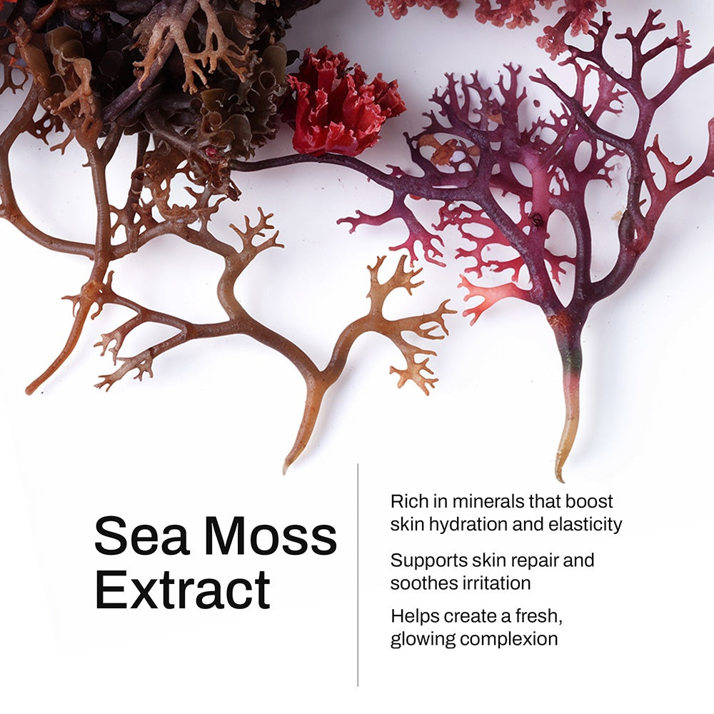 Fern Ocean Kiss Manuka Honey Sea Moss Post-Shave Oil
